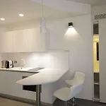 Gatto Bianco Mia Milano